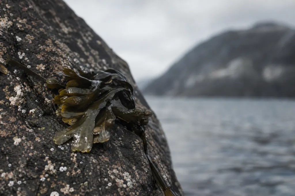 environmental due diligence norway