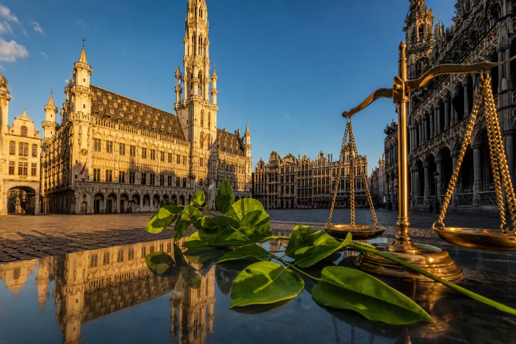 environmental lawyer cost belgium
