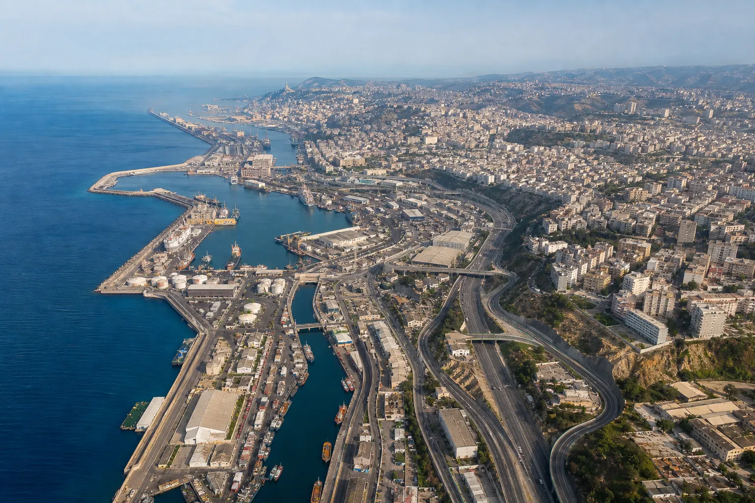 franchise law algeria