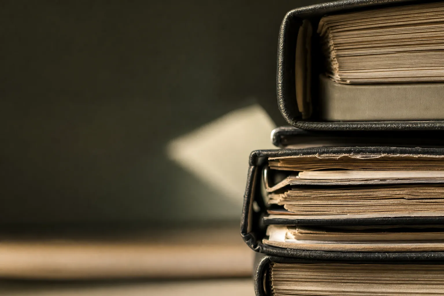 german tax audit