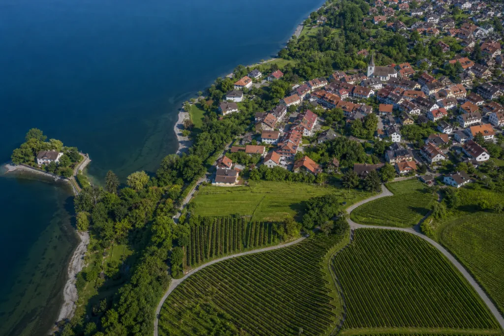 heirs facing german inheritance