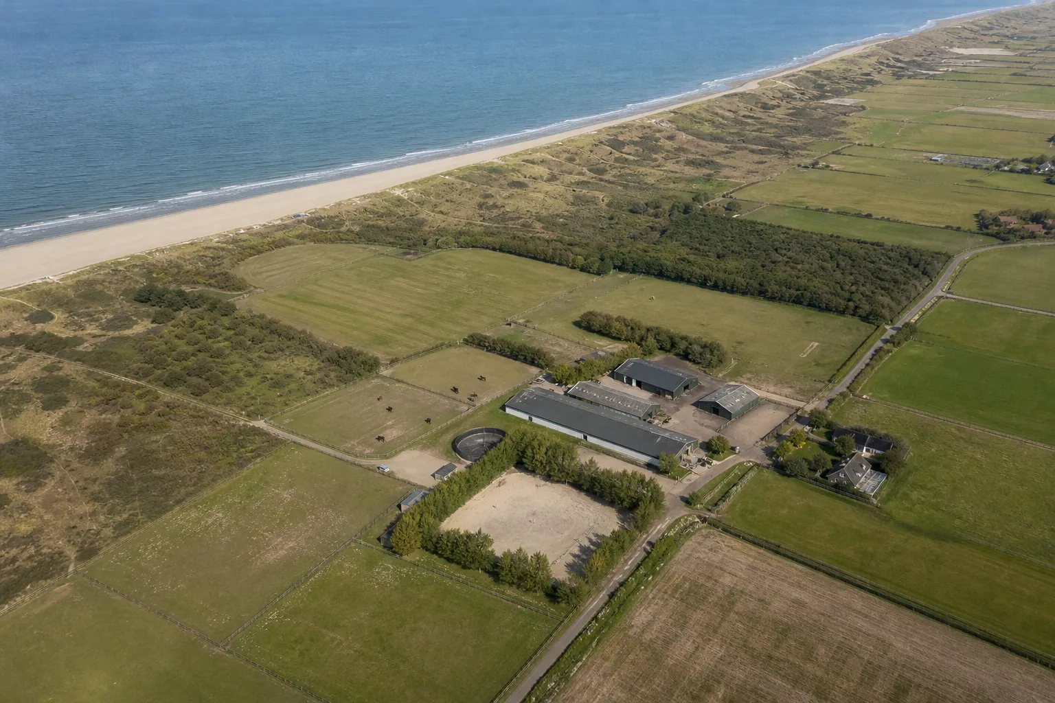 horse owner liability netherlands