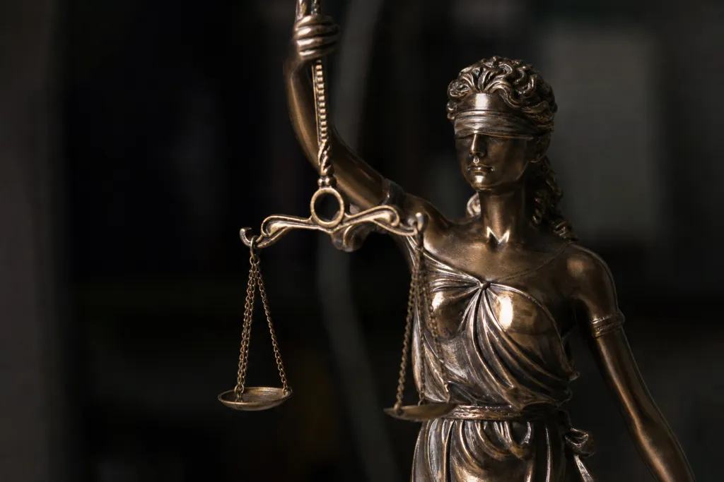 interim relief against regulators germany