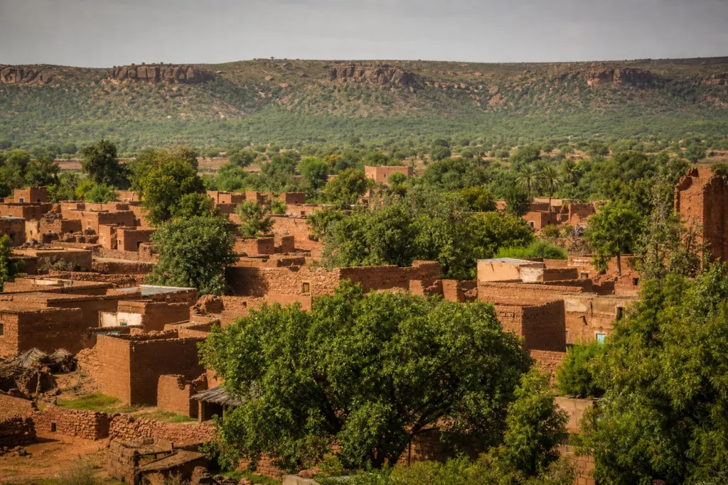 local representative burkina faso