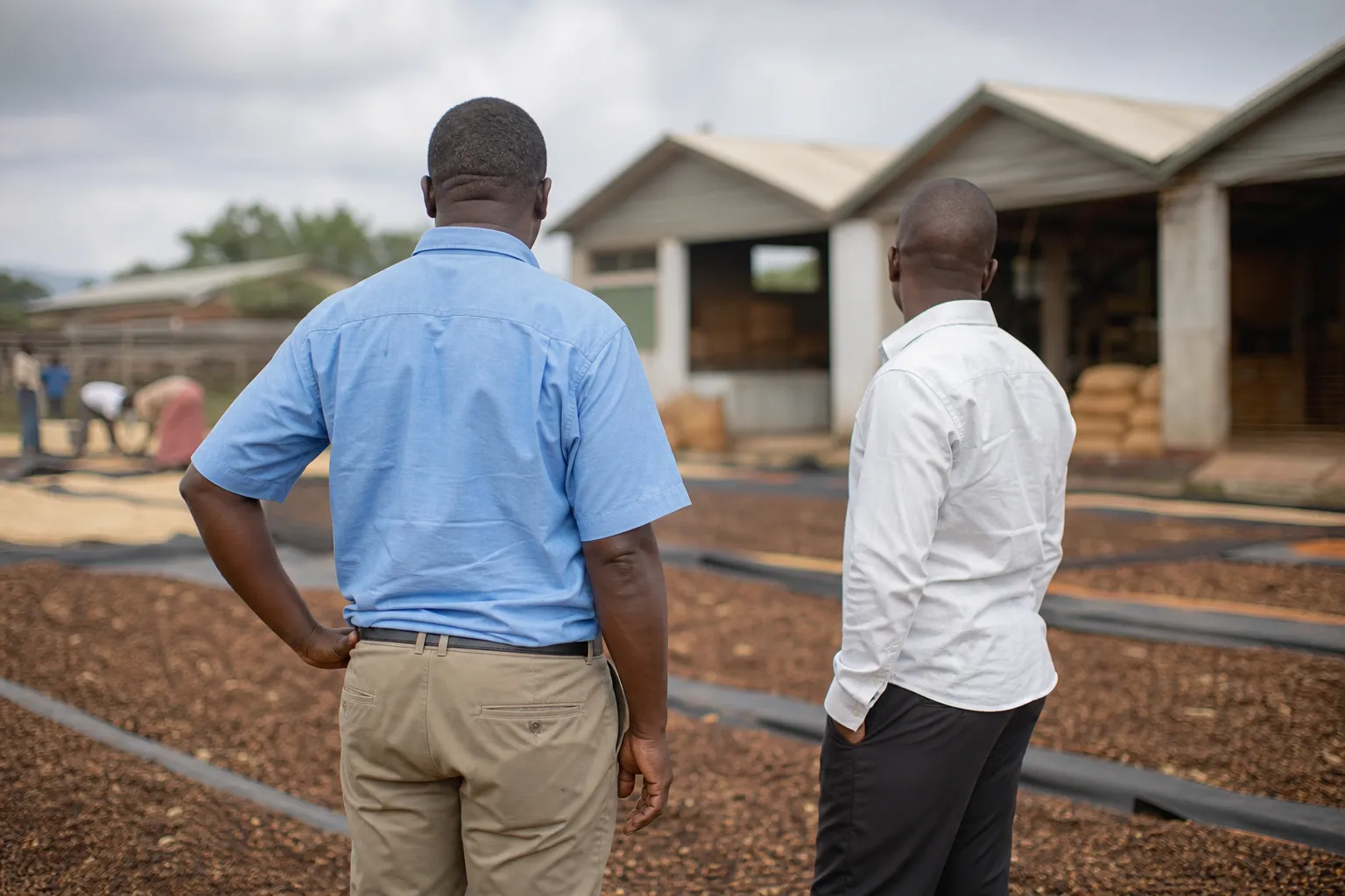 m-and-a due diligence malawi