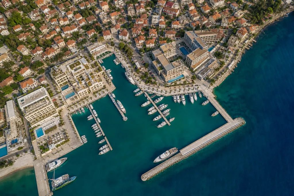 montenegro company formation