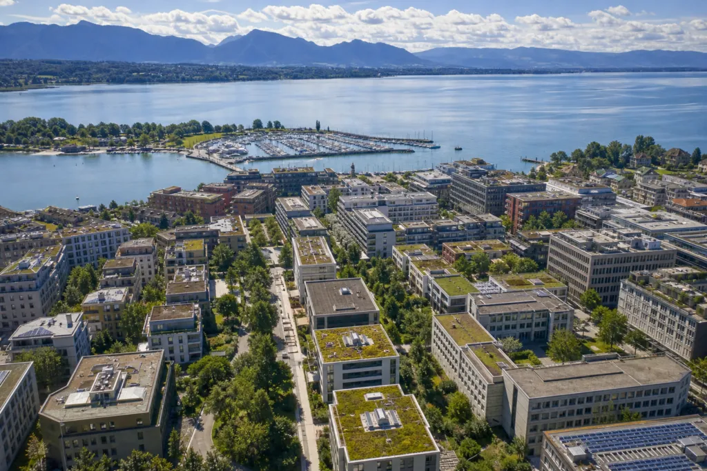 multilingual workplace mediation switzerland