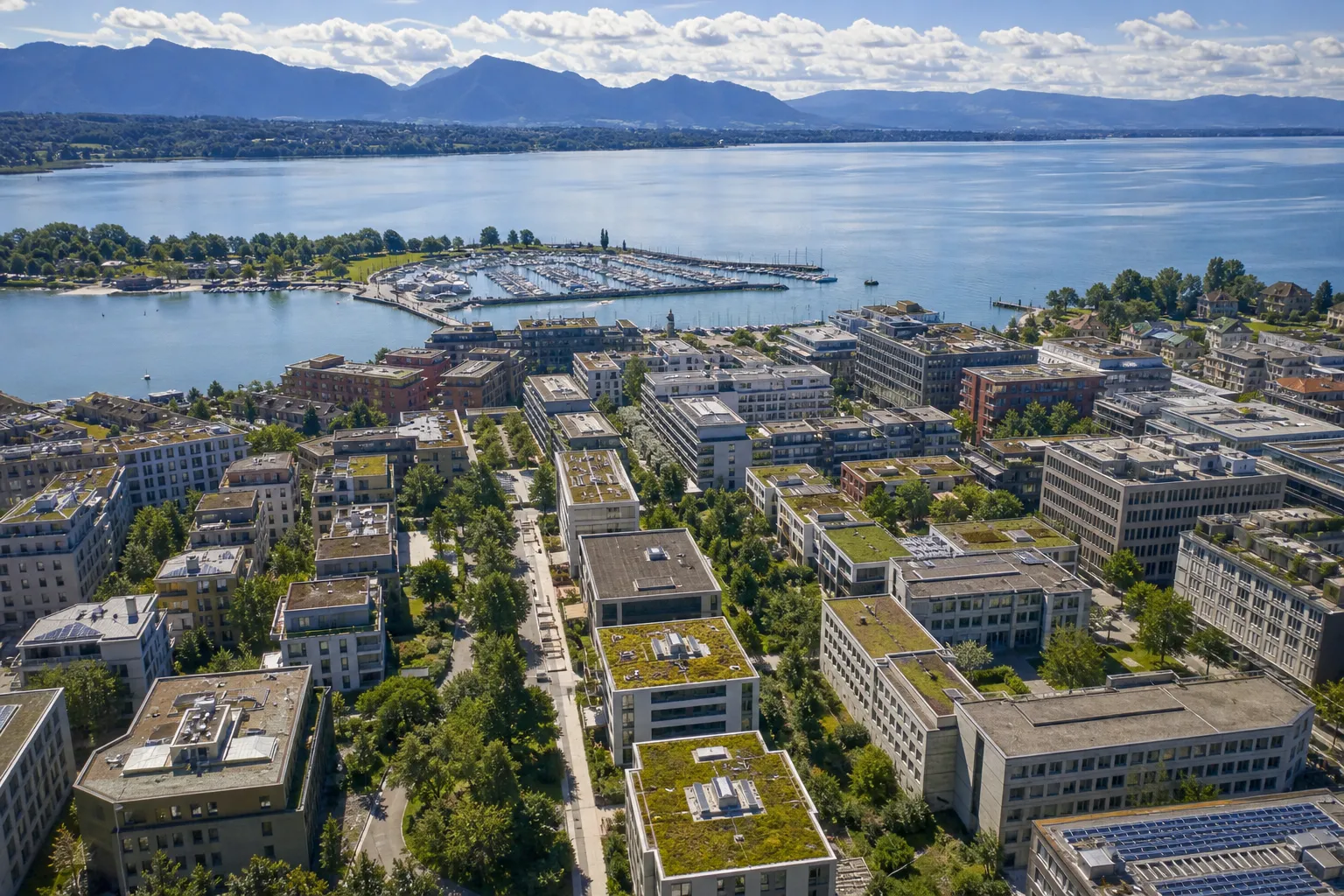 multilingual workplace mediation switzerland