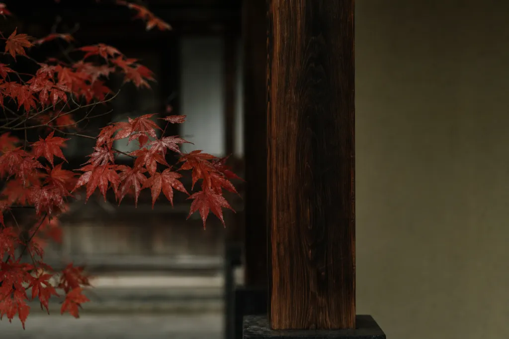 redomicile fund japan