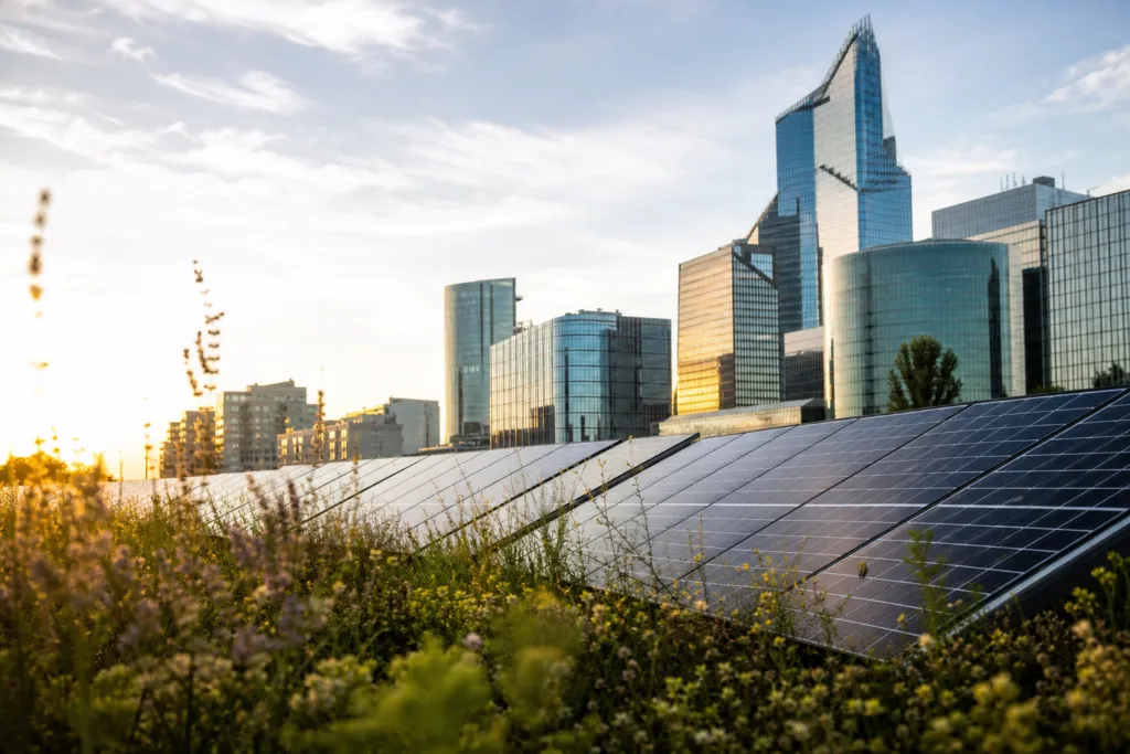 renewable project appeals france