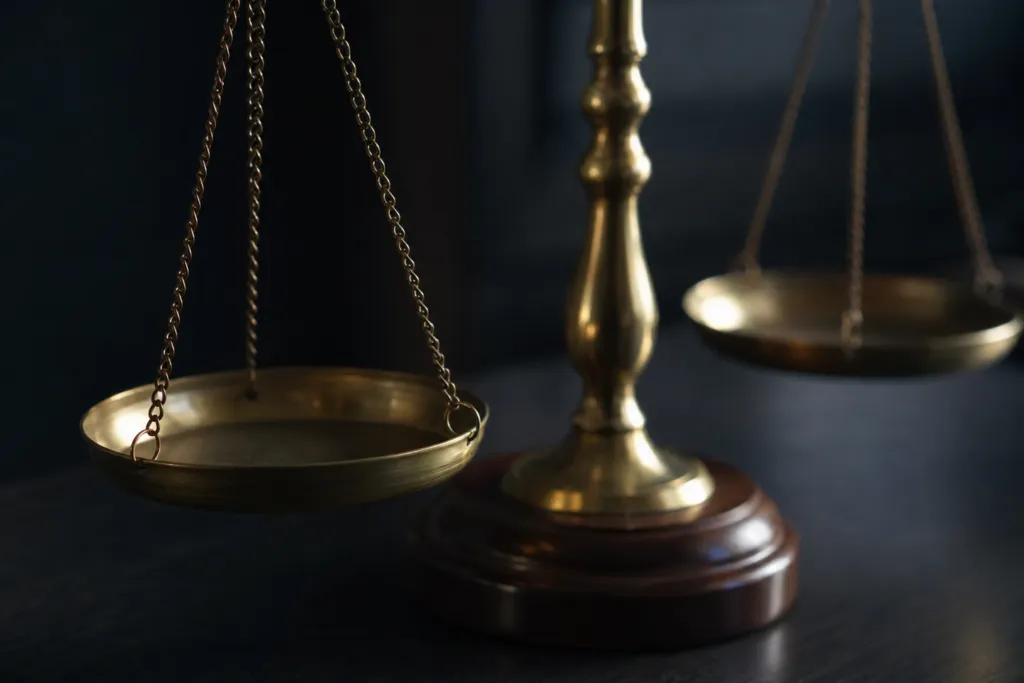 section 244 companies act india