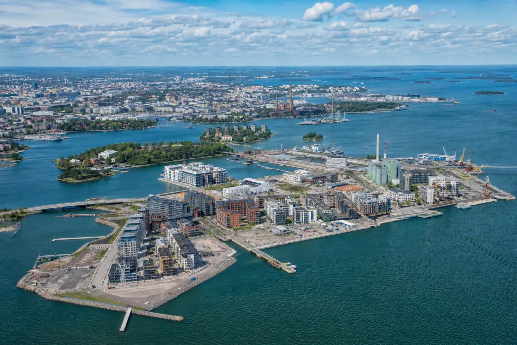 shareholder dispute finland