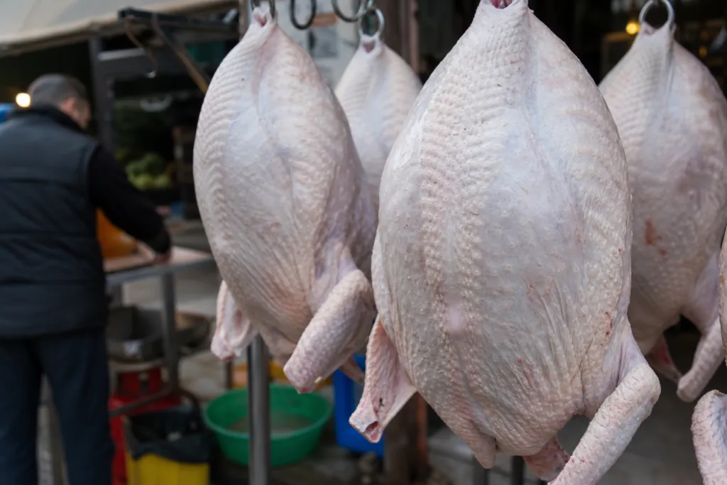 well-known trademark turkey